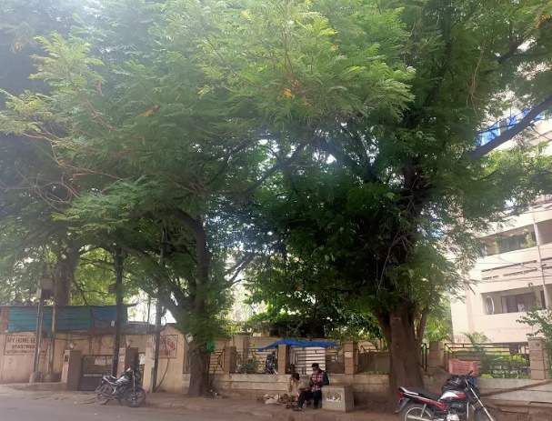  glory apartments Others