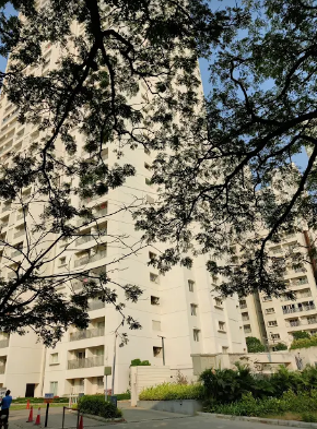 codename 520d Elevation