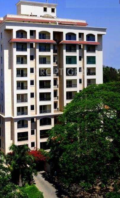 Images for Elevation of Ashed Regency Salma