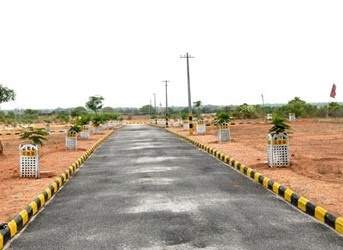  city phase 7 Others