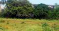 Loksewa Estates Balaji Green Park