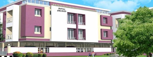  asquare-royal-orchid Elevation