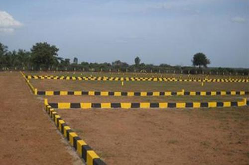  meadows Plot