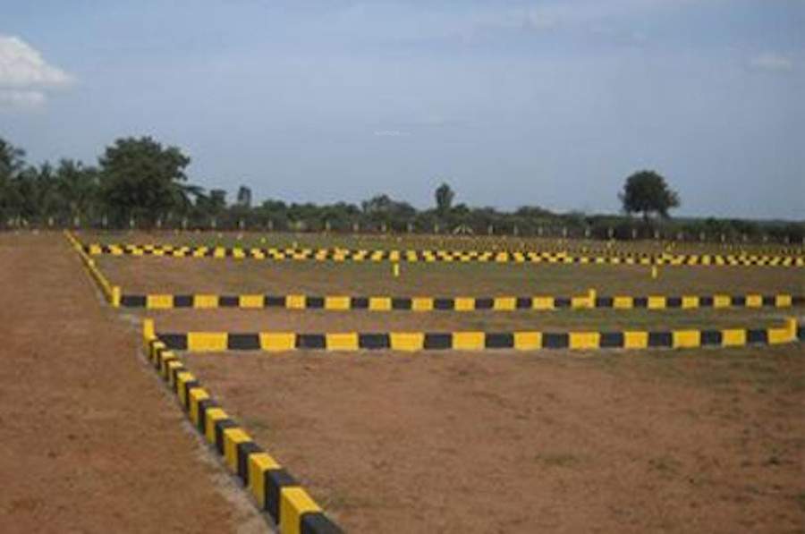  meadows Plot