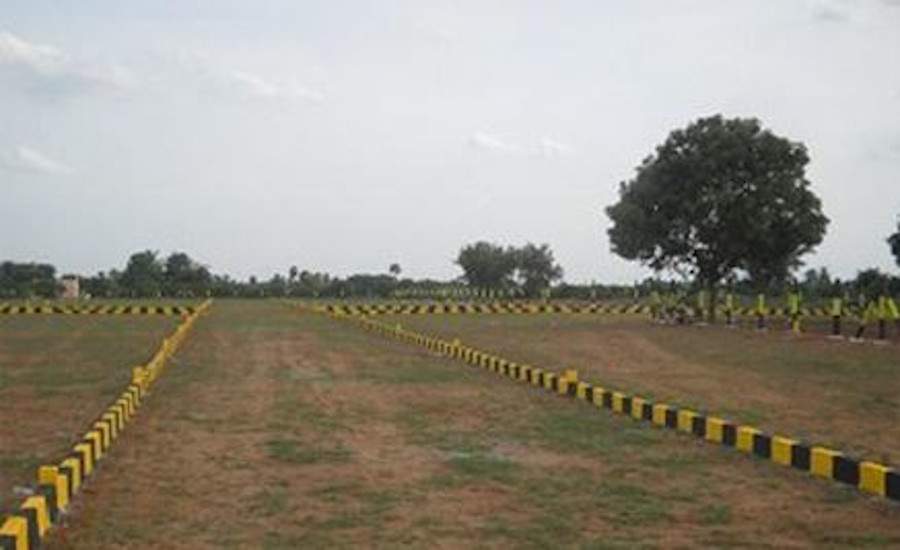  meadows Plot