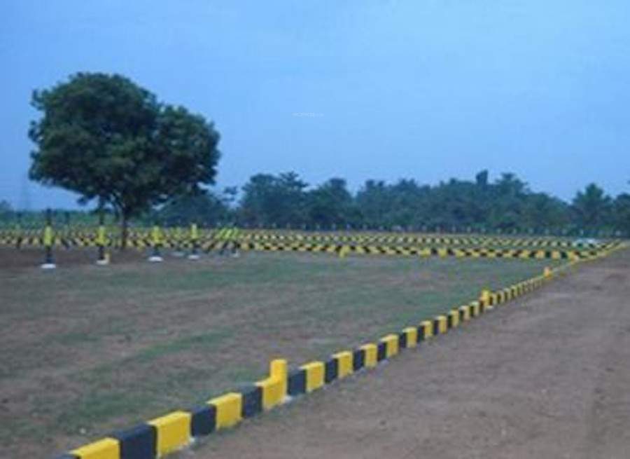  meadows Plot