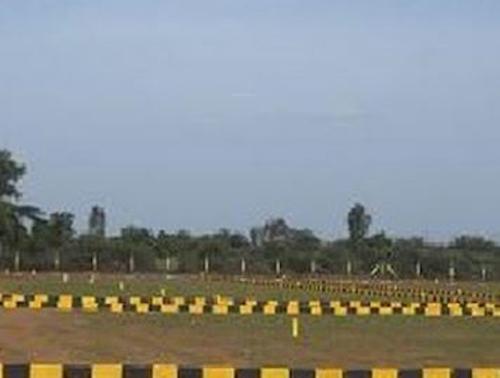  meadows Plot