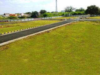 Project Image Project Image