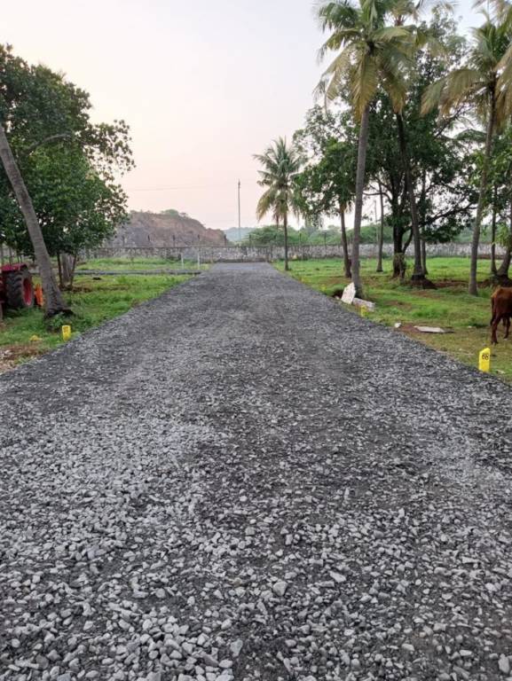  royal enclave Internal Roads