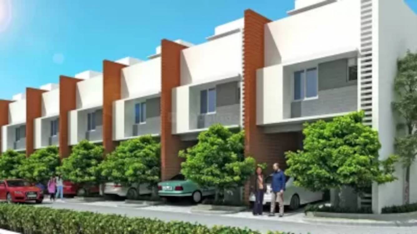  beach county Elevation