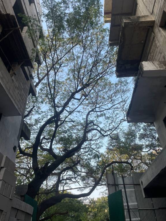  kalpatharu Construction Status Feb 23