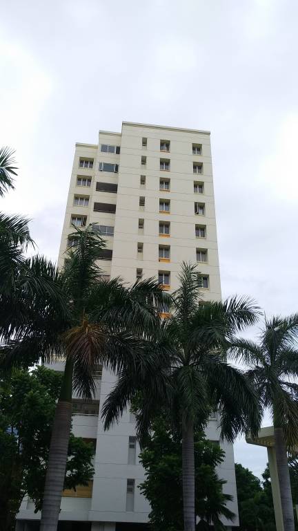  ficus grove Elevation