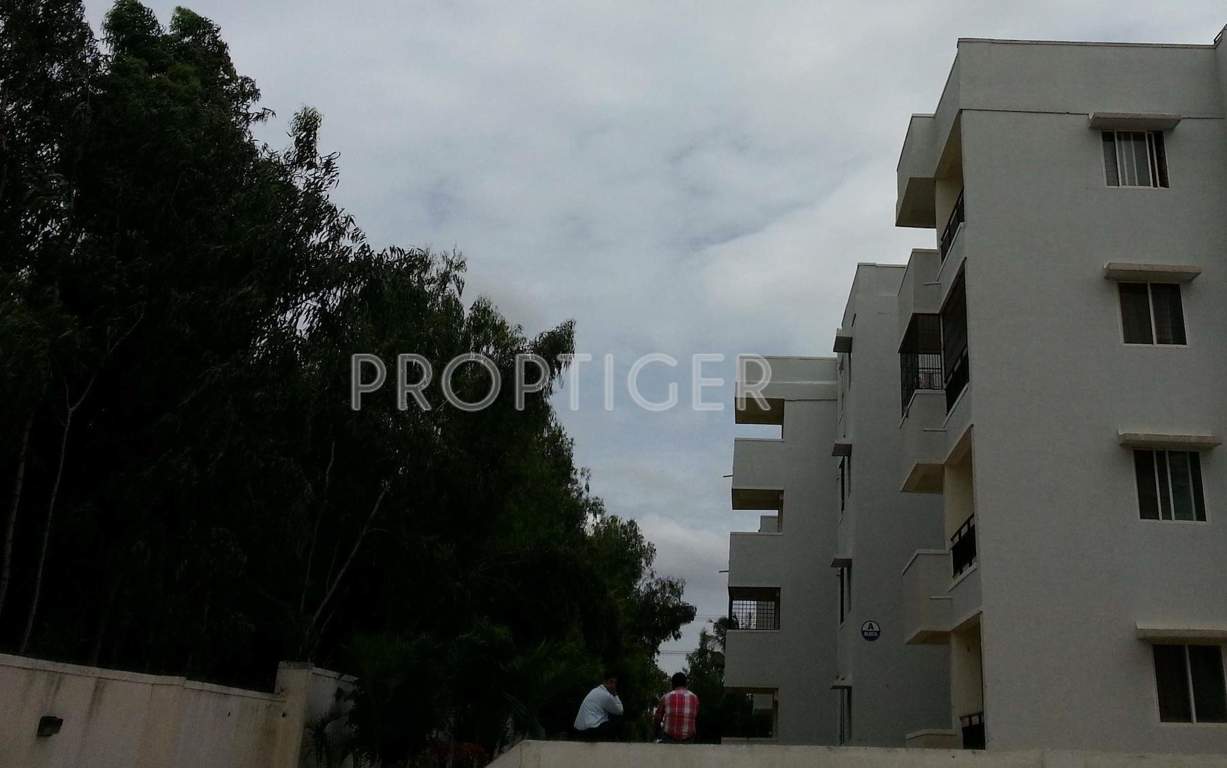  serene drive Images for Elevation of Definer Serene Drive