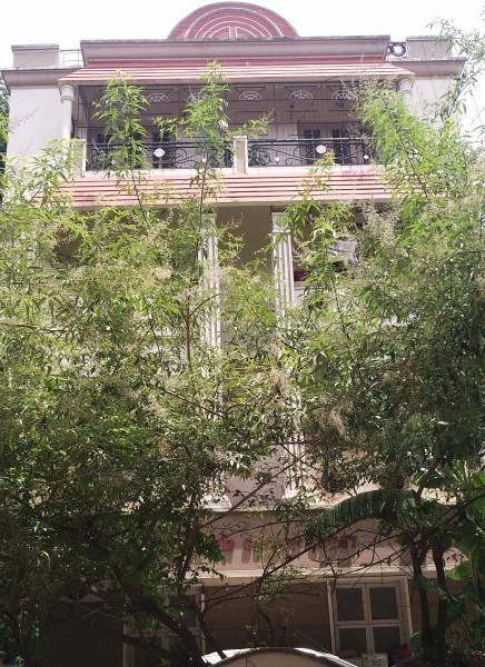  golden-crest Elevation