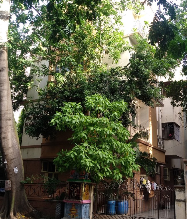  diamond enclave Elevation