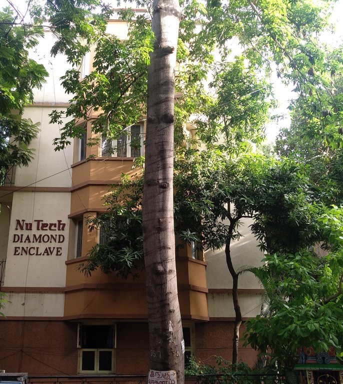  diamond enclave Elevation