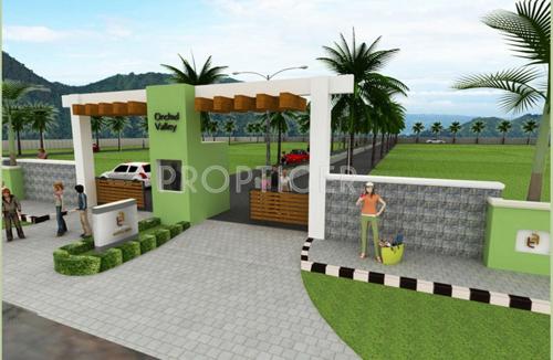 Images for Elevation of Fifth Field Orchid Valley