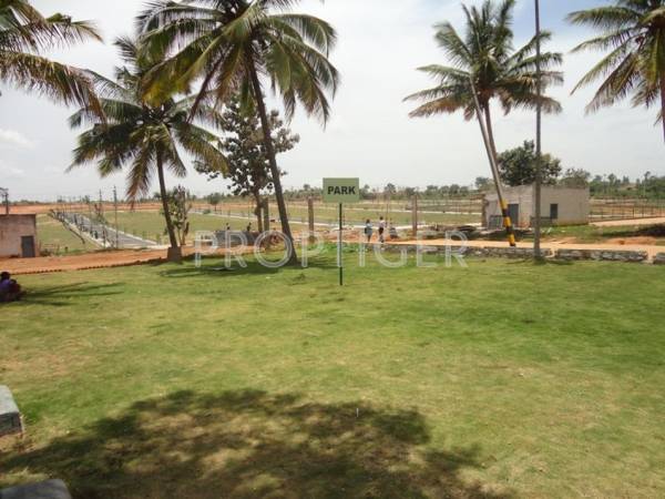 Images for Elevation of Nava Nakshatra Arya Best