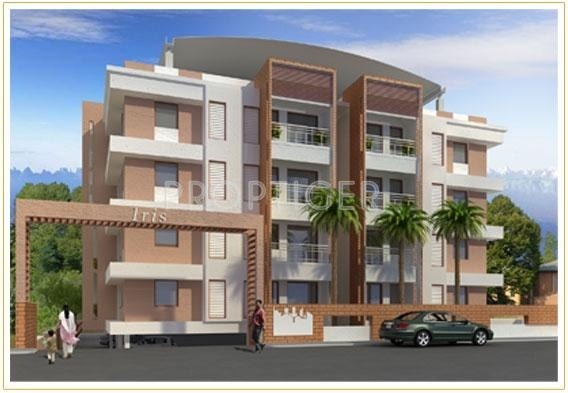 Images for Elevation of Marian Iris