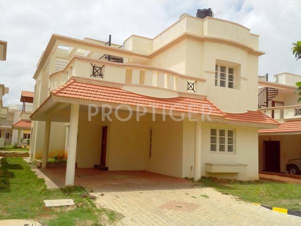 Faith Inc Passiflora