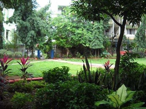  shere-e-punjab Landscape Garden and Tree Planting