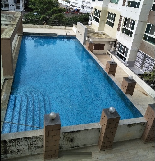  garden grove Swimming Pool