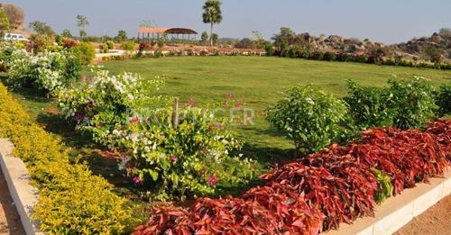 Images for Elevation of Nature Paradise