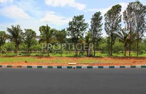  green-cascade Images for Elevation of Astro Green Cascade