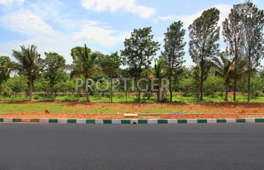 green cascade Images for Elevation of Astro Green Cascade