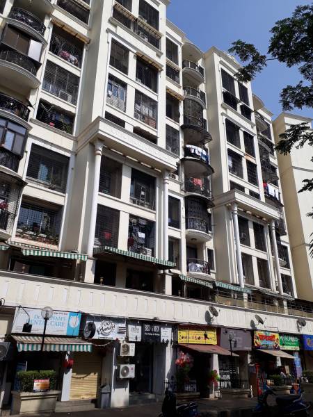  silver-birch Images for Project