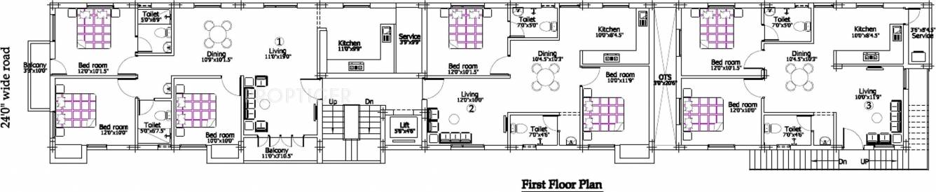 Images for Cluster Plan of Priams Golden Wattle