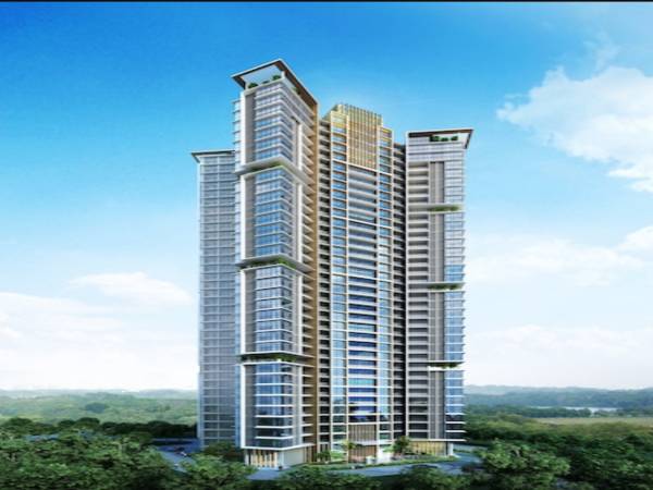 Elevation auris-ivorine Elevation