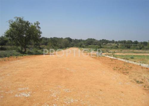 Images for Elevation of RK The California Holiday Village