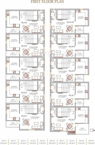 Images for Cluster Plan of Oyester Elegantia