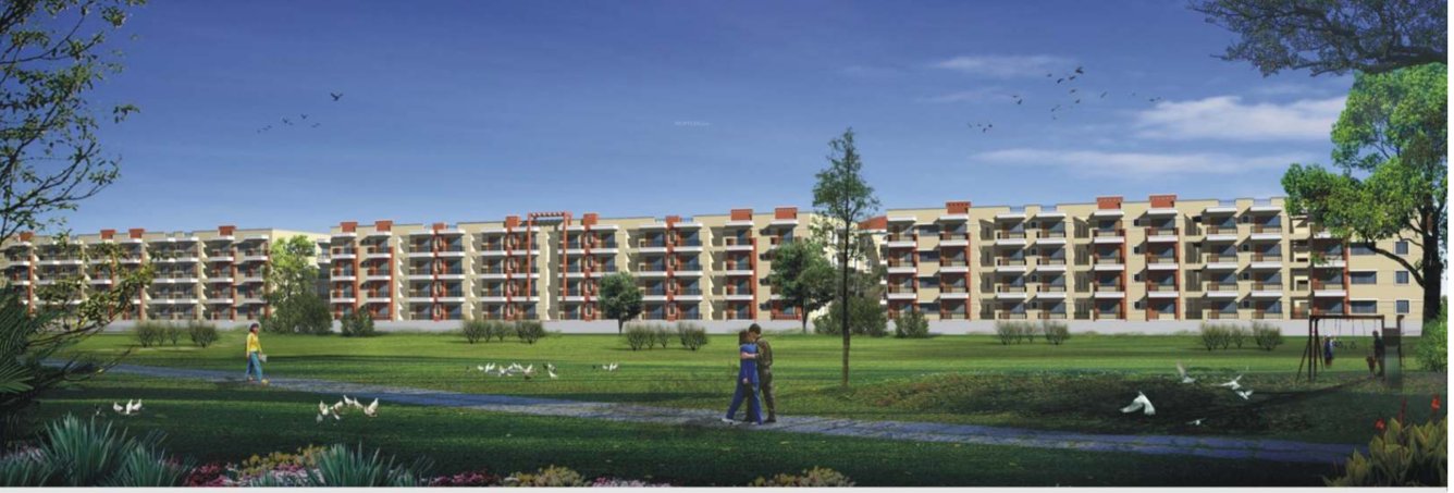  rainbow mtb Images for Project