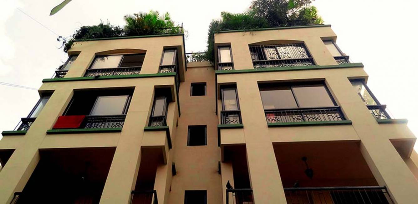 Images for Elevation of Renaissance Nest