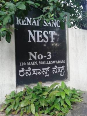 Images for Amenities of Renaissance Nest