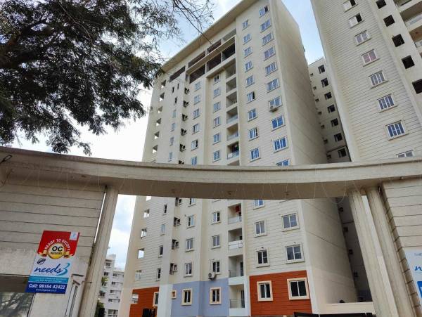 dummy-DS And JAKS Needs 3 Project 276