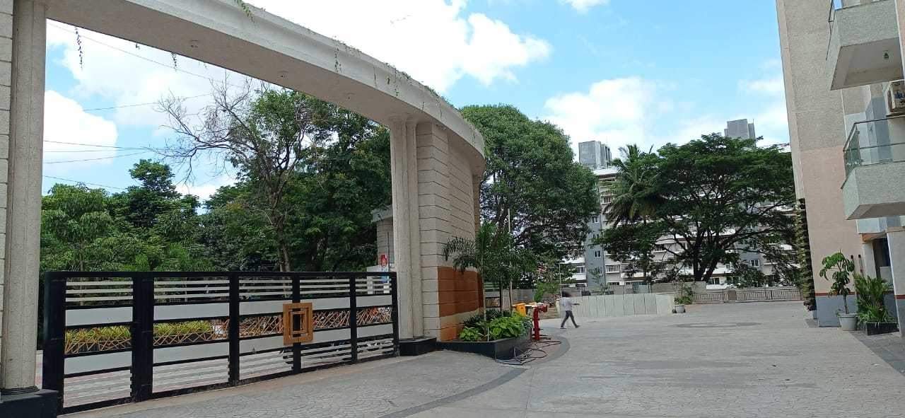  needs 3 project 276 Elevation