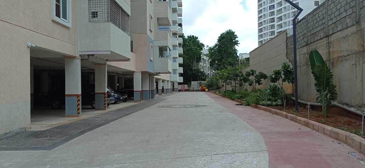  needs 3 project 276 Elevation