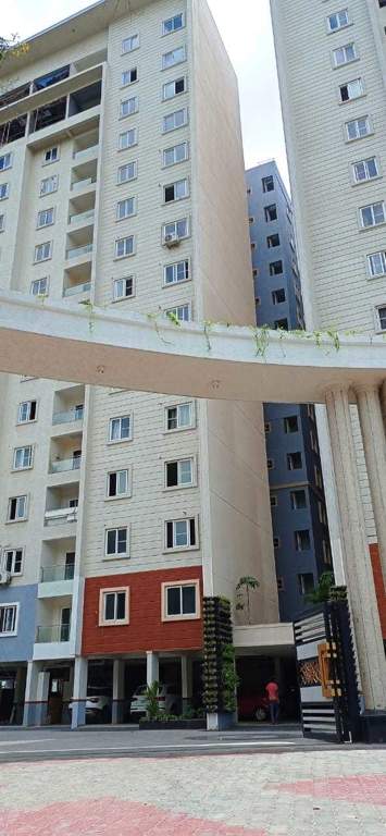  needs 3 project 276 Elevation