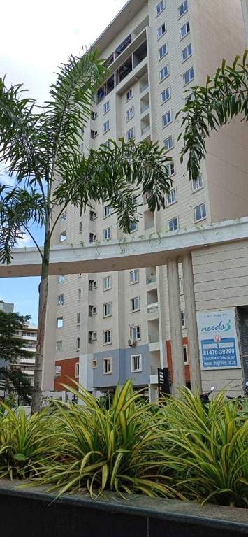  needs 3 project 276 Elevation