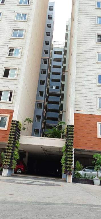  needs 3 project 276 Elevation