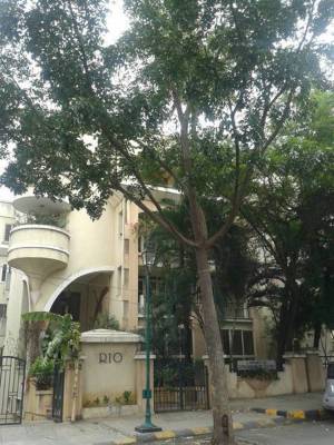 Images for Elevation of Renaissance Rio