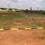  vetri-garden SPE Homes Vetri Garden