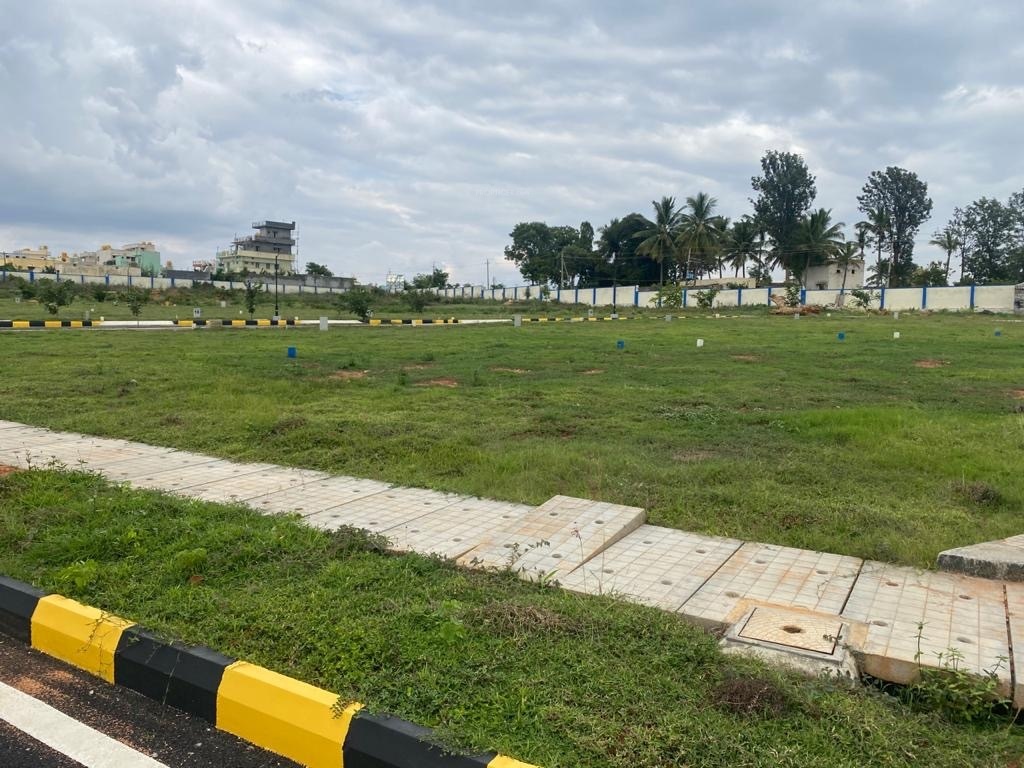  paradise phase 2 Elevation