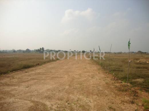 Parjay Promoters Aurora Parjay Promoters Aurora