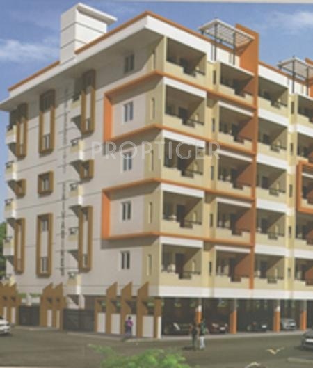 Celebrity Structure Srivasines