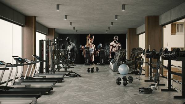 Gymnasium tranquil Gymnasium