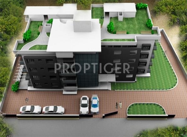 Trine Holdings Palm Heights